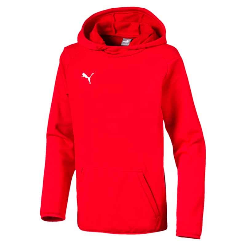 Casuals Hoody Liga Kinder, Puma