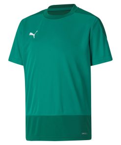Training Jersey Team Goal 23 Kinder, Puma