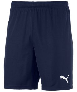 Knit Short teamGOAL 23 Kinder, Puma