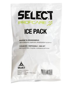 Ice Pack, 2-Pack, Select