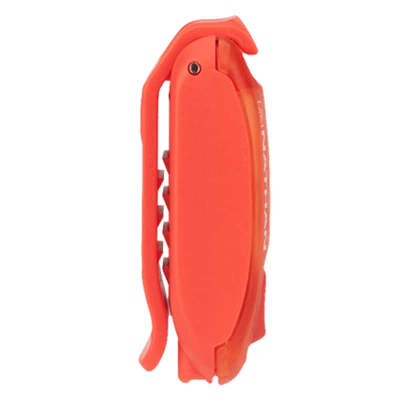 StrobeLight, Nathan – Bild 2