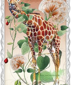 Auguri – Giraffe – Edition Gollong