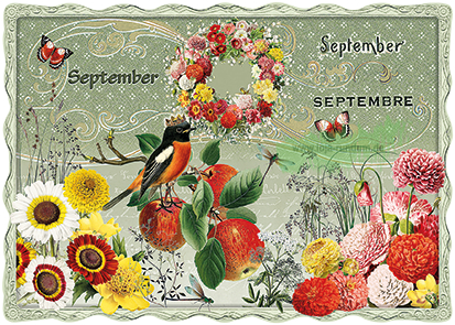 Auguri – September, September, Septembre – Edition Gollong