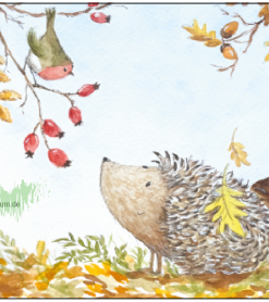 Igel und Rotkehlchen im Herbst  – Taurus Kunstkarten