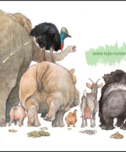 Von der Mücke zum Elefanten – B&B