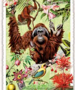 WILDLIFE-EDITION, ORANG-UTAN – ORANGUTAN – ORANG-OUTAN (HOCH) – Edition Tausendschön PK1122