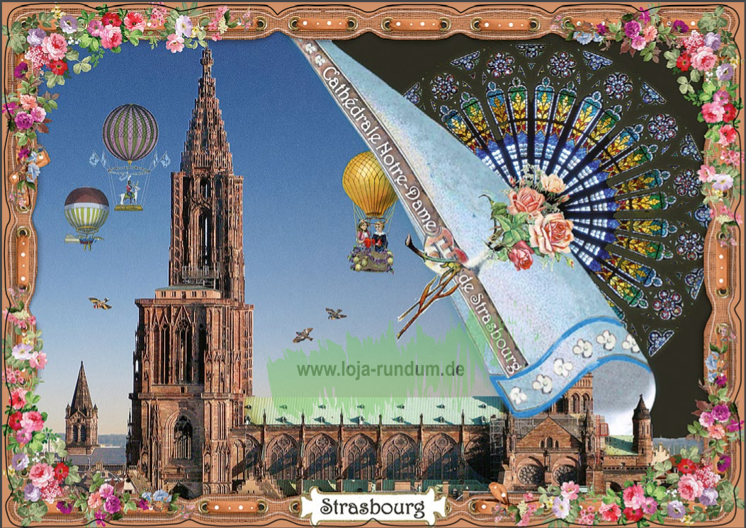 STRASBOURG – CATHÉDRALE NOTRE-DAME 1 (QUER) – PK8001