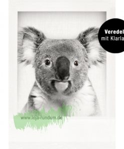 Koala – Tushita PAPERART