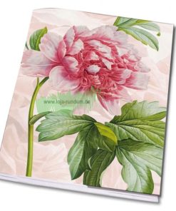 HEFT A5 LIN. – Pfingstrose – B&B