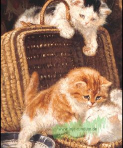 Spielende Kätzchen – B&B