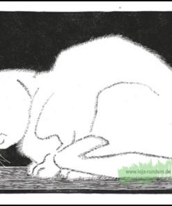 Weiße Katze, M.C. Escher – B&B