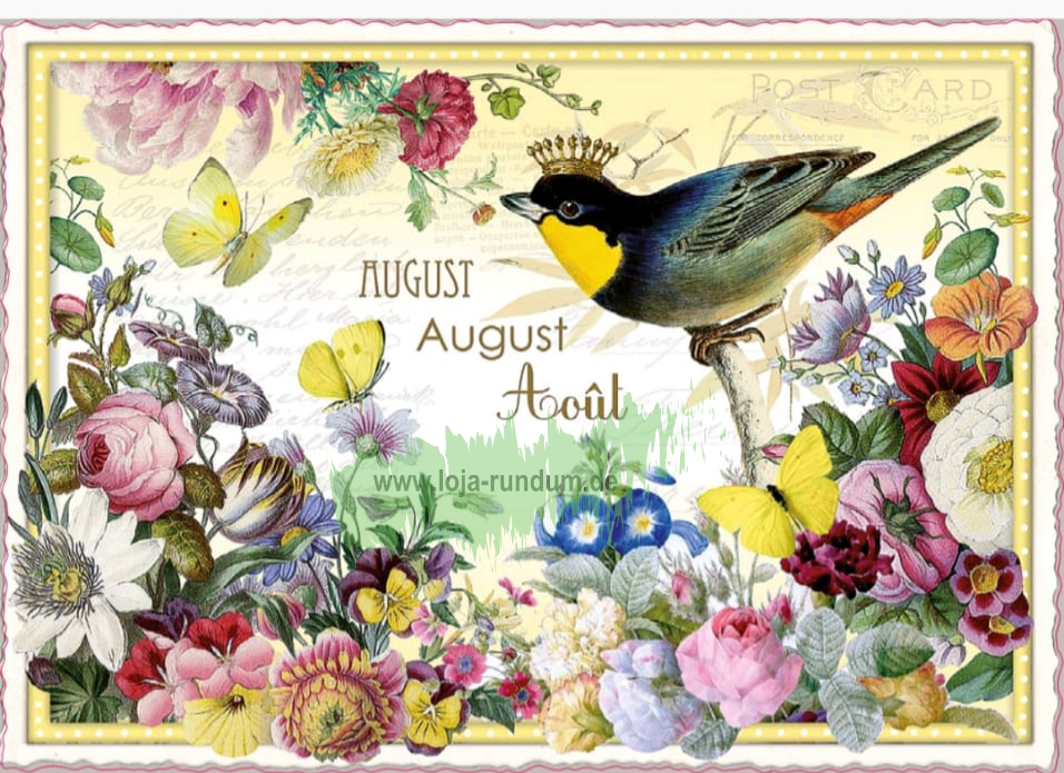 MONATS-EDITION, AUGUST – AUGUST – AOÛT (QUER)- Edition Tausendschön PK1029