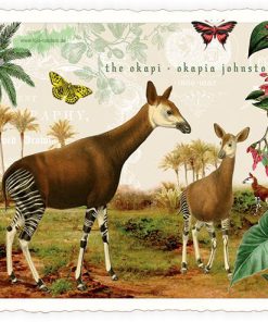Okapi – Edition Tausendschön PK1263
