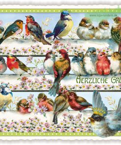 Herzliche Grüße – Edition Tausendschön PK319