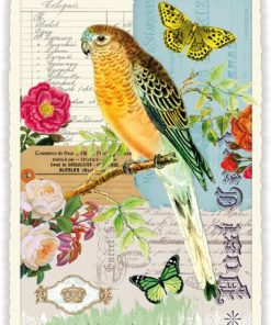 Vogel- Edition Tausendschön PK781