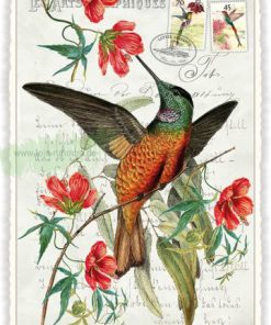 KOLIBRI (O.T.) (HOCH)- Edition Tausendschön PK891