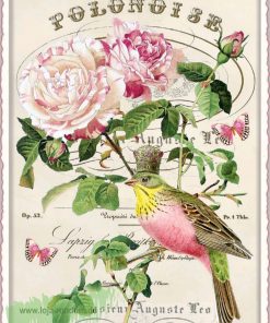 WEISS-ROSA PFINGSTROSEN (O. T.) (HOCH)- Edition Tausendschön PK943