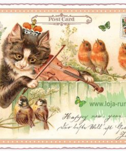 KATZE MIT GEIGE (QUER)- Edition Tausendschön PK954