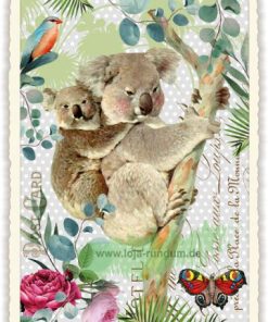 KOALAS (O. T.) (HOCH)- Edition Tausendschön PK986