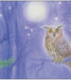 Der Uhu bei Vollmond – Taurus Kunstkarten