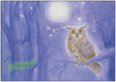 Der Uhu bei Vollmond – Taurus Kunstkarten
