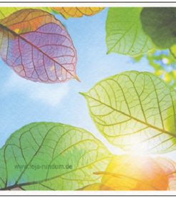 Leuchtende Blätter – TAURUS Kunstkarten